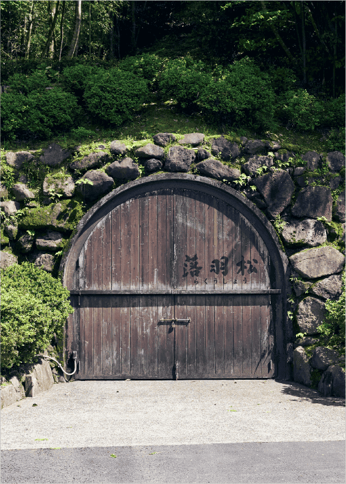 貯蔵洞窟『落羽松』