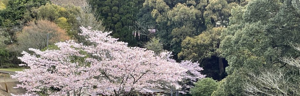 農村公園　祁答院町藺牟田　祁答院蒸溜所