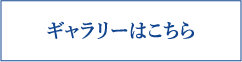 ギャラリーはこちら